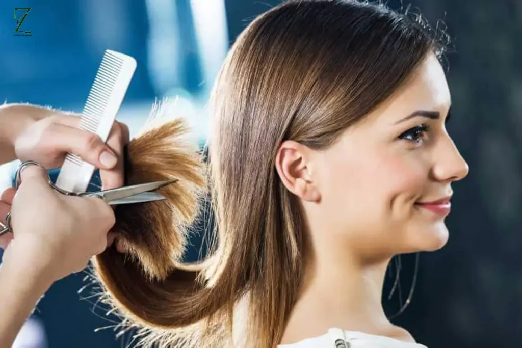 آموزش هیرکات در آکادمی زمرد