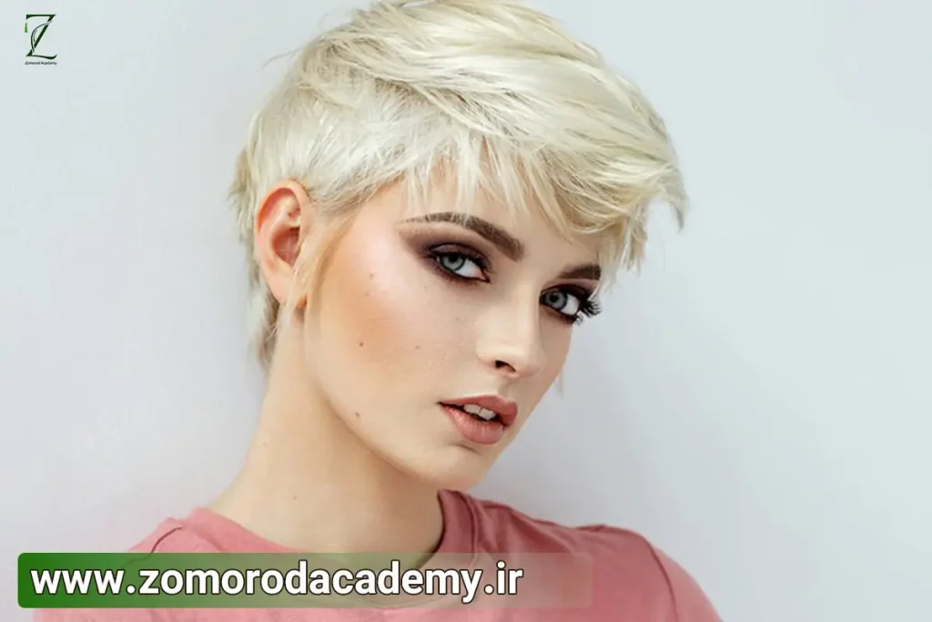 آموزش مدل کوتاهی کرنلی
