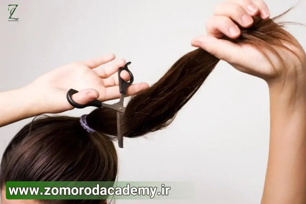 مراحل آموزش کوتاهی مو مدل لیر بلند