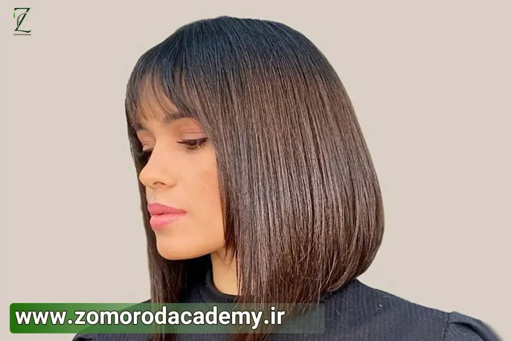نکات مهم آموزش کوتاهی باب