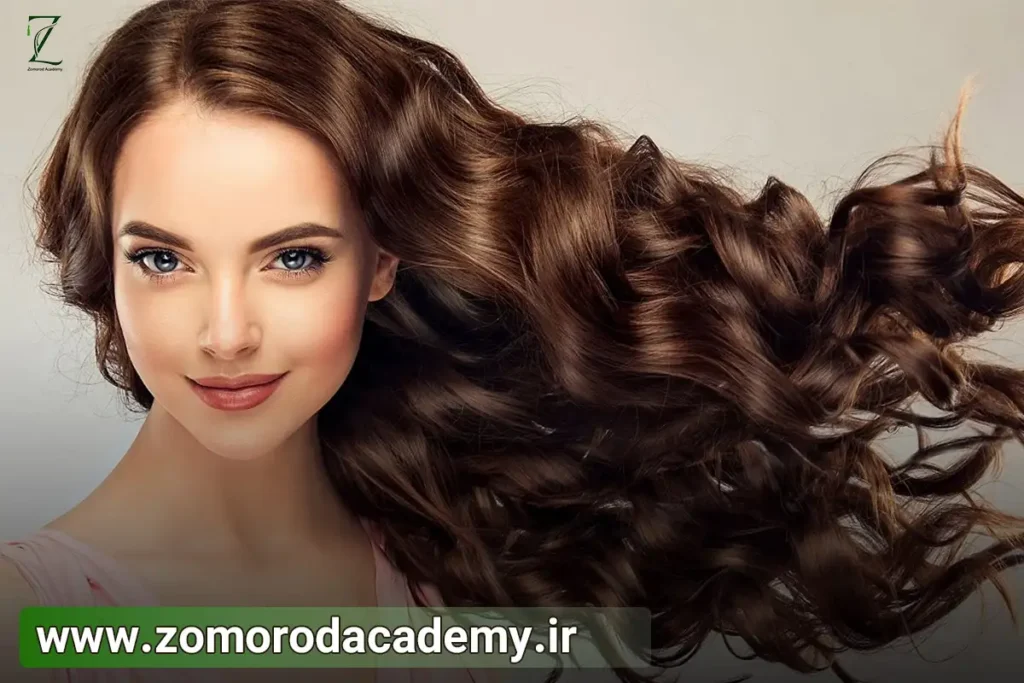 نکات مهم آموزش شینیون موی سر
