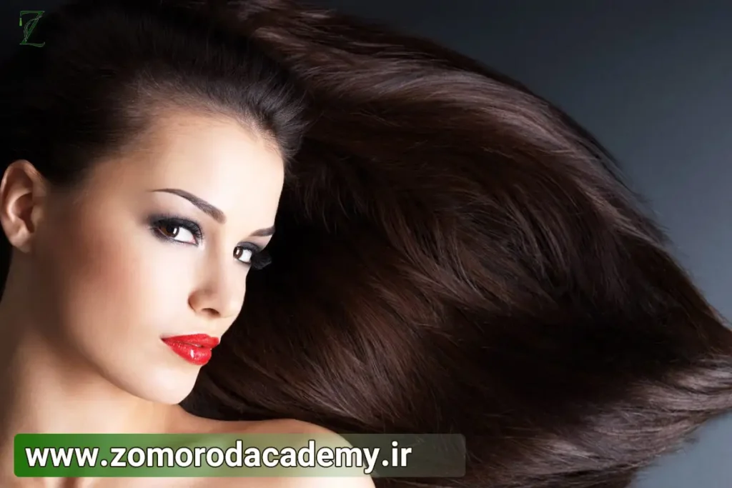 آموزش شینیون‌ موی اروپایی