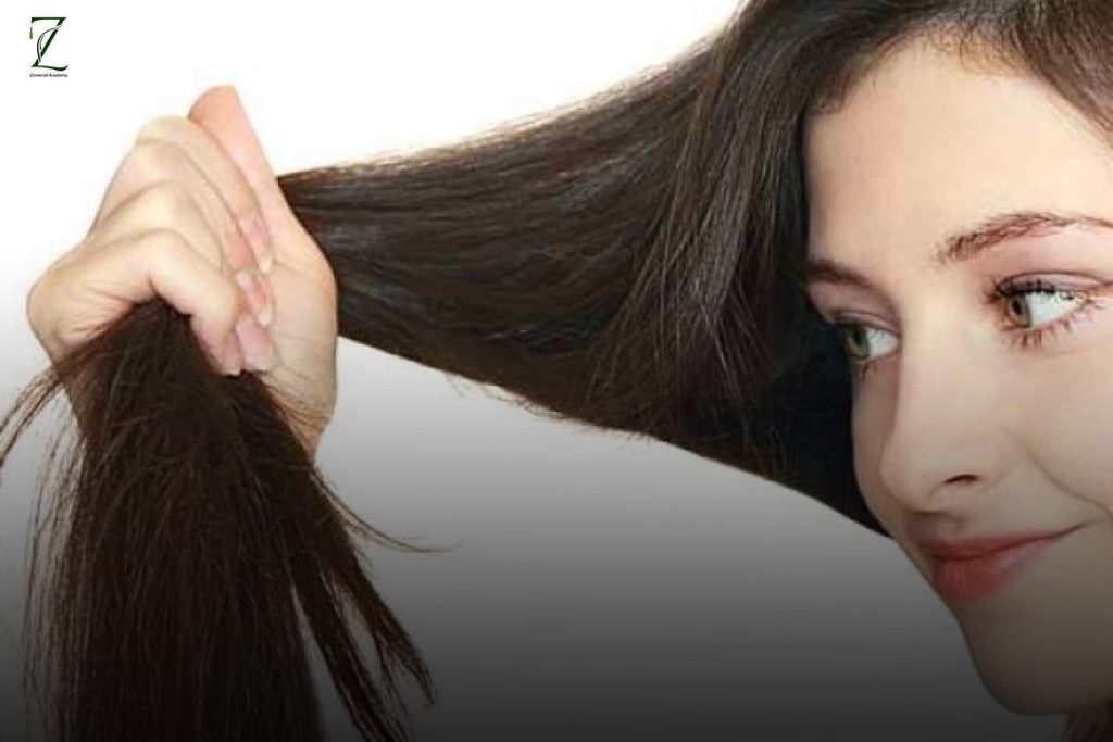راهکار های پیشگیری